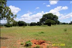 Proposed location of Mvumi Mkala tree nursery